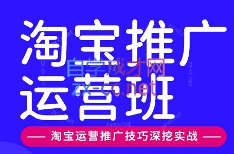 美迪电商·淘宝高级运营班+推广运营班(更新10月)-蜗牛学社