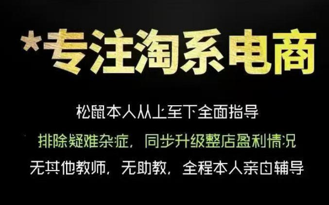 松鼠会电商VIP课程,从基础布局到高阶优化,助你掌握淘宝运营逻辑,提升店铺流量与转化(更新1015)-蜗牛学社
