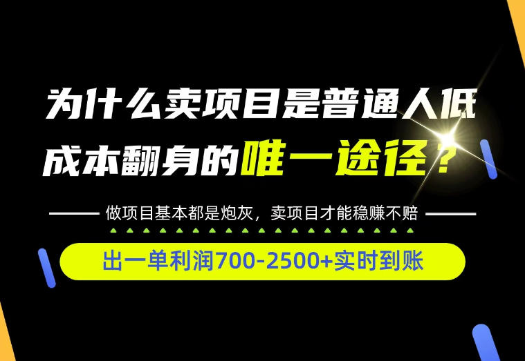 普通人如何靠互联网賺取自己的第一桶金!全类目实操型教学,看完你全都懂了!【揭秘】-蜗牛学社